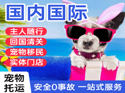 朝阳航空邮寄国际宠物托运 【国